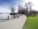 img 20240320b