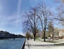 img 20240325b